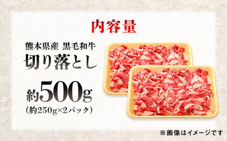 熊本県産 『原田畜産』 黒毛和牛 切り落とし 計約500g（約250g×2パック） 牛肉 牛【有限会社 九州食肉産業】[AYCN126]
