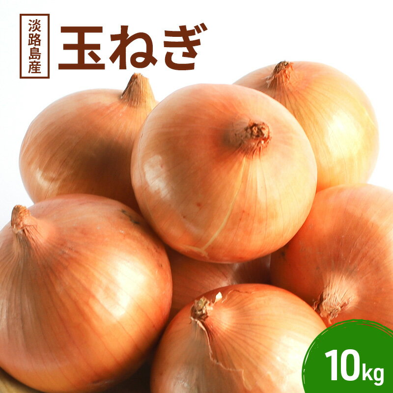 【ふるさと納税】淡路島産 玉ねぎ 10kg たまねぎ タマネギ 甘い 農家直送 兵庫県 洲本市 淡路島