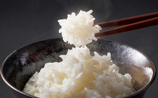令和7年産 茨城県産 常陸牛農家が育てたコシヒカリ 精米 無洗米 個包装300g(2合)×3袋【配送不可地域:離島・沖縄県】