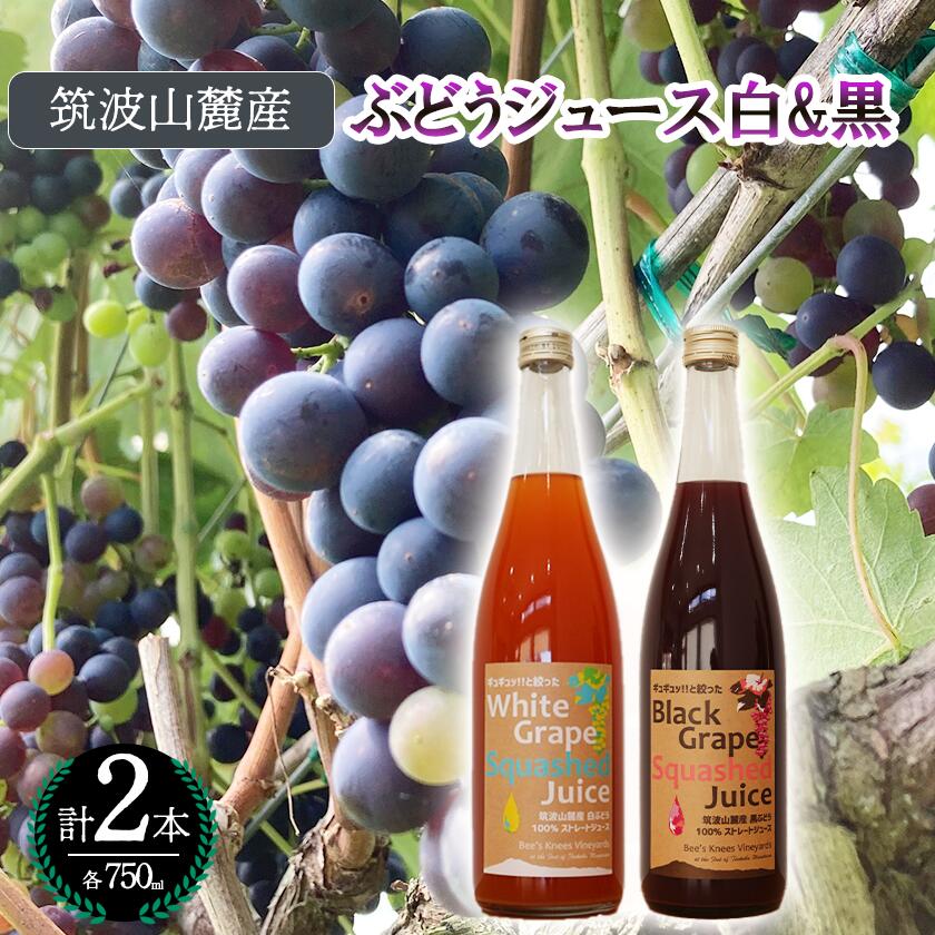 【ふるさと納税】つくば市 筑波山麓産ぶどうジュース2本セットビーズニーズヴィンヤーズ／Bee's Knees Vineyards| 茨城県 つくば市 ジュース ストレート 100％ ぶどう ブドウ 白ぶどう 黒ぶどう ワイン専用ブドウ品種 果物 フルーツ 国産 つくば市産 茨城県産 飲み物 セット