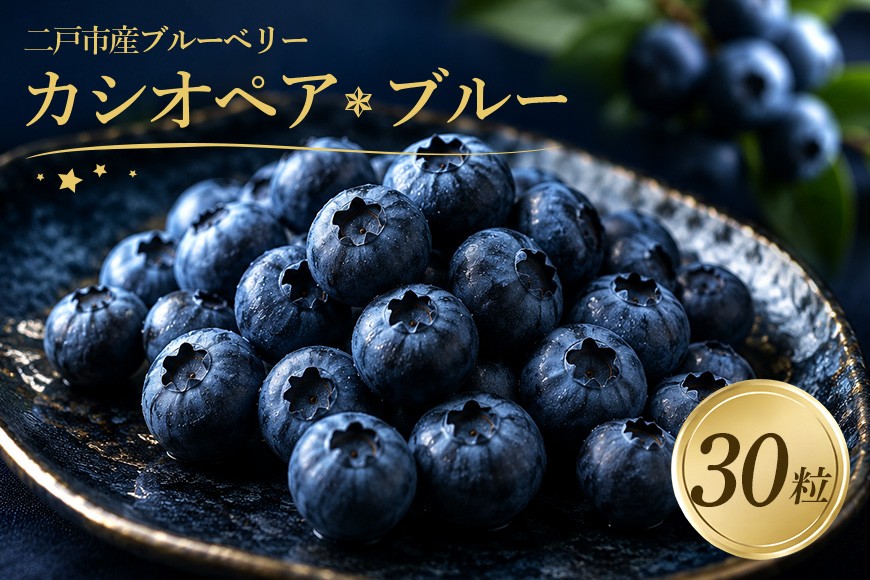 
                  二戸産 プレミアム ブルーベリー【カシオペアブルー】30粒
                