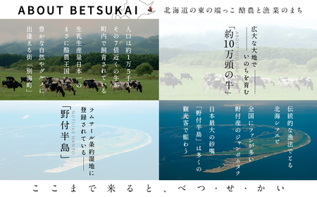 ひがし北海道 別海町の旅（羽田発着 ANA往復 航空券 + 別海町 宿泊 1泊 + レンタカー 北海道 旅行 旅行券 ホテル 旅館 宿泊券 ）