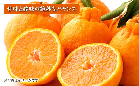 【2026年3月中旬より順次発送予定】不知火 5kg　/ しらぬい みかん 果実 柑橘 / 大村市 / おおむら夢ファームシュシュ [ACAA299]