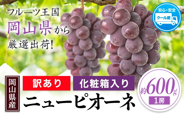 【先行予約】岡山県産 ニューピオーネ 約600g 1房 葡萄 果物 秋旬 訳あり 優品 厳選出荷 スイーツ フルーツ デザート 岡山県矢掛町《2025年9月上旬～11月上旬頃に出荷予定(土日祝除く)》数量限定---ofn_cwnp_ad911_25_10000_1---