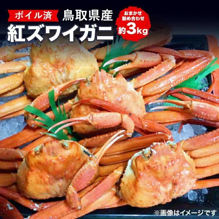  鳥取県産 ボイル 紅 ズワイガニ おまかせ詰め合わせ(約3kg) | カニ ズワイガニ ボイル 美味しさに 訳あり 大容量 ※着日指定不可※離島への配送不可※2027年2月上旬～4月下旬頃に順次発送予定