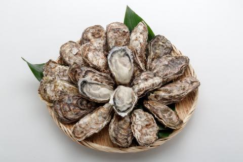 オレの牡蠣アミスイ 殻付牡蠣 3kg｜朝どれ 生食用 殻付き かき カキ 大粒 生牡蠣 生かき 生がき 生カキ 生ガキ 貝 シーフード オイスター 海産物 海鮮 魚介類 海の幸 海のミルク 濃厚 BB