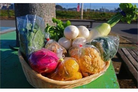 【6カ月定期便】厳選・「おおばん市場」旬の野菜詰め合わせ