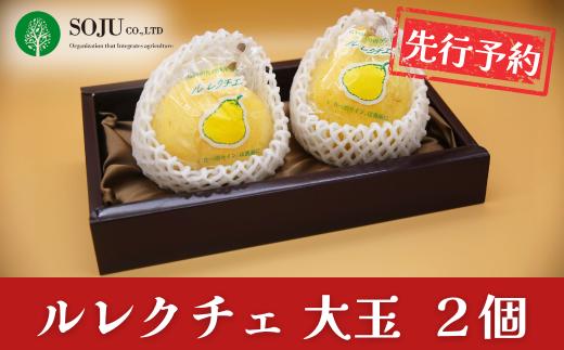 先行予約 ル レクチェ 大玉 2玉 令和8年度 洋梨JGAP認証農場 新潟県 三条市産 ル レクチエ 冬限定  期間限定 幻の西洋梨 フルーツ 秋 旬 洋梨 ル・レクチェ  [三条果樹専門家集団]【016P029】