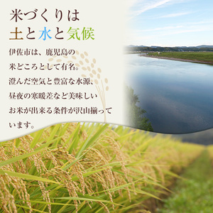 isa793 《数量限定・12回定期便》令和7年産 小北農場のお米 伊佐黄金米〈ヒノヒカリ〉(計120kg・5kg×2袋×12回) 鹿児島 伊佐 お米 120kg 定期便 12回 特別栽培米 伊佐米 