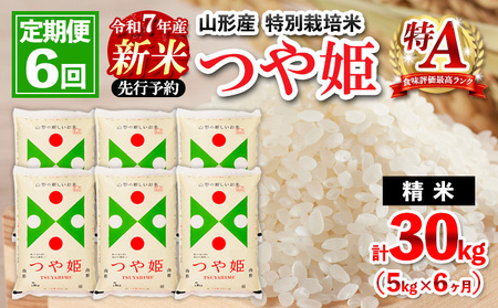 【定期便6回】 令和7年産 山形産 特別栽培米 つや姫 5kg×6ケ月(計30kg)【2月発送】 FZ25-091