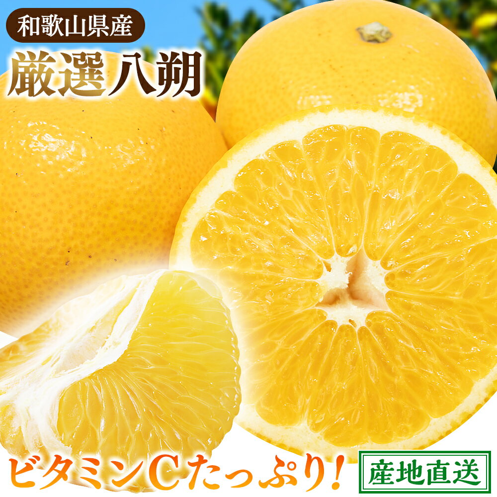 【ふるさと納税】 八朔 厳選 / はっさく みかん 柑橘 晩柑 和歌山 甘い 5000円 / 1kg 2.5kg 5kg 7.5kg 10kg ※2026年1月〜4月下旬ごろに順次発送予定 ※北海道・沖縄・離島への配送不可