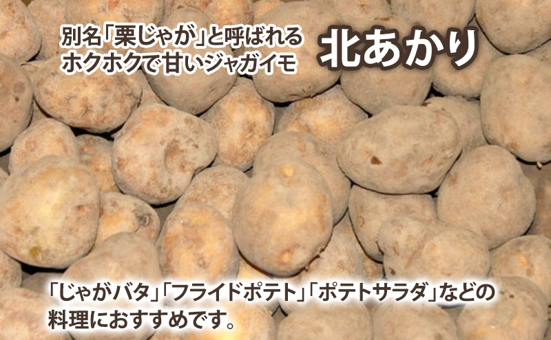【2025年10月～発送】甘くてホクホク！じゃがいも きたあかり 【約10kg】 (スイートベジタブルファクトリー) 野菜 新鮮 直送 朝採り じゃがいも 芋 インカのめざめ いんか 道産 北海道 ふ