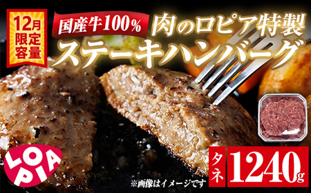 ロピア 国産牛100％！肉のロピア特製 ステーキハンバーグ (タネ：900g) 牛肉 ロピア LOPIA 味付け 惣菜 おかず 冷凍 焼くだけ タネ ＜離島配送不可＞【ksg1869】【ロピア】
