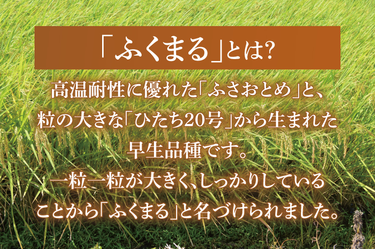 令和7年産 茨城県産 ふくまる10kg（5kg×2袋）【お米 米 ごはん 茨城県】（03-62）