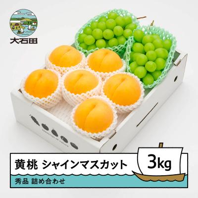 ふるさと納税 大石田町 有袋黄桃 秀品&amp;シャインマスカット 詰め合わせ 3kg フルーツ 令和7年産 2025年産