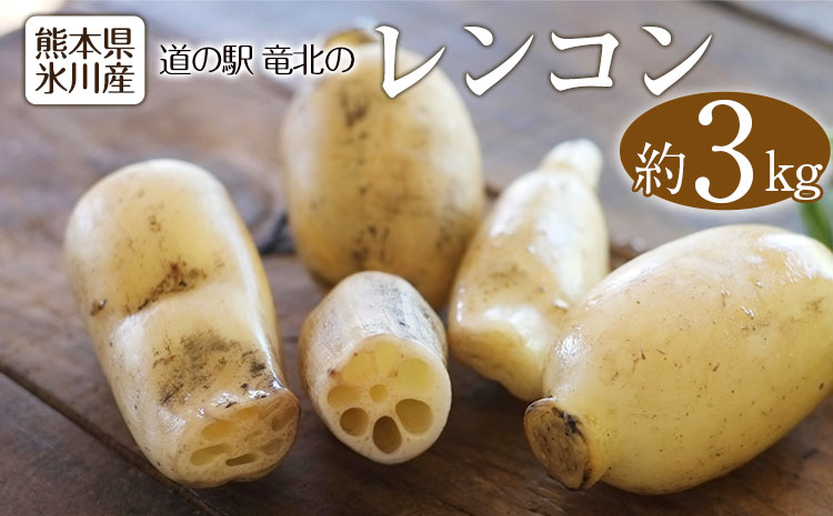 レンコン 約3kg 熊本県氷川町産 《11月下旬-3月末頃出荷》道の駅竜北