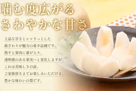 先行予約 秋栄（あきばえ）3kg｜鳥取 果物 フルーツ なし 梨【41034】