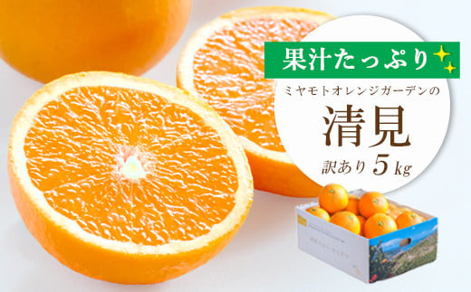 
            ＜2025年4月上旬出荷＞果汁たっぷり ジューシー清見5kg(訳あり)＜C25-138＞_ 清見 きよみ 柑橘 かんきつ オレンジ みかん フルーツ 果物 くだもの ふるーつ 産地直送 国産 送料無料 限定 甘い ジューシー 果汁 【1138006】
          