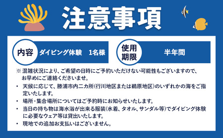 体験ダイビングチケット 勝浦ダイビング協会《30日以内に出荷予定(土日祝除く)》