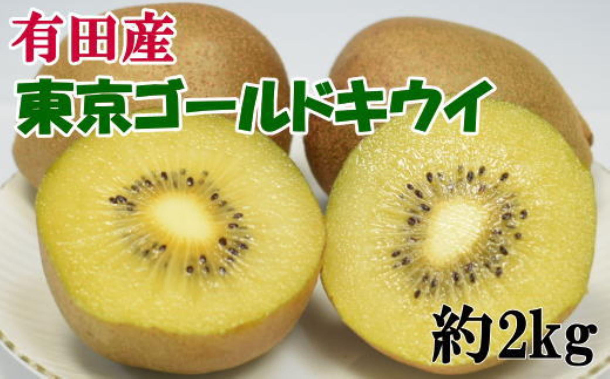 
            【数量限定】 東京ゴールドキウイ 約2kg サイズ混合★12月上旬頃より順次発送
          