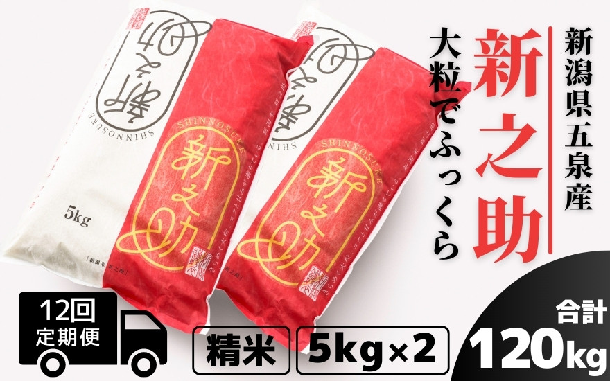 
                  【令和7年産】〈12回定期便〉 新之助 精米 10kg（5kg×2袋）新潟県 五泉市 有限会社ファームみなみの郷
                