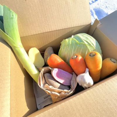 ふるさと納税 江別市 北海道江別産　季節の彩り野菜セット　S|Ambitious Farm |  | 02