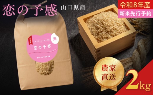 令和8年産  恋の予感 玄米 2kg