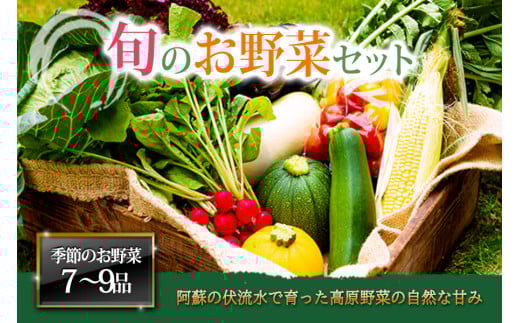 ＜畑から直送＞季節のお野菜セットをお届け！【Lサイズ】旬のお野菜の中から7～9品を厳選♪ 野菜 新鮮 野菜セット 農家直送 産地直送 野菜 厳選 こだわり 朝採れ 採れたて フレッシュ サラダ 高原野菜 果物 フルーツ 甘い 詰め合わせ おまかせ 大地の恵み 贈り物 ギフト 便利 食卓 家族 主婦 料理 お弁当 人気 おすすめ お取り寄せ 野菜 熊本県 阿蘇市