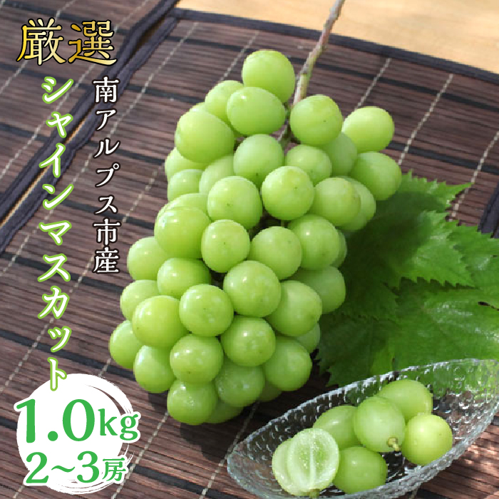 ＜2026年発送分先行予約＞厳選! シャインマスカット 1.0kｇ 2〜3房 山梨県南アルプス市産 ALPBV005