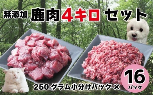 
                  森のジビエ for PET 鹿肉  250g×16パック(計4kg)ペットフード 犬 猫 A-JK-A19A
                