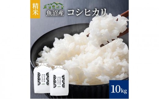 
                  【令和8年産　新米先行受付】米農家自慢の 魚沼産 コシヒカリ（精米）10kg（5kg×2袋）白米 お米 こめ コメ 魚沼産コシヒカリ こしひかり 魚沼
                
