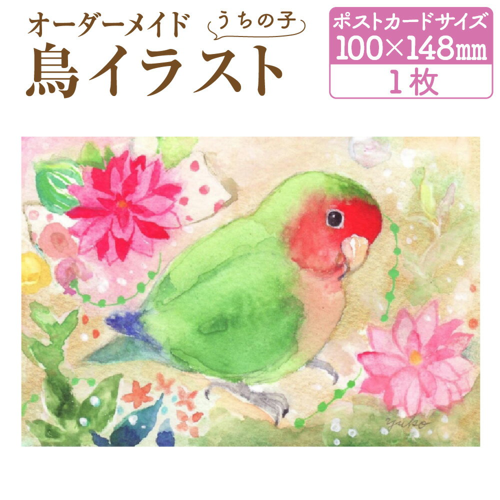 【ふるさと納税】うちの子オーダーメイド・鳥イラスト / セキセイインコ・オカメインコをはじめ全ての鳥さんをお描きします！ 水彩画 イラスト オーダーメイド オーダーメイド作品 アート アート作品 小鳥 鳥 ギフト プレゼント