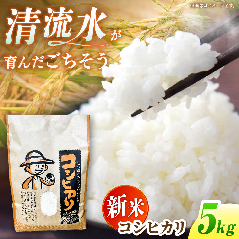 【ふるさと納税】＜令和7年度産 新米＞ コシヒカリ 5kg 米 白米 国産 新米 岐阜 白川町 / 健康農園[AWBW001]