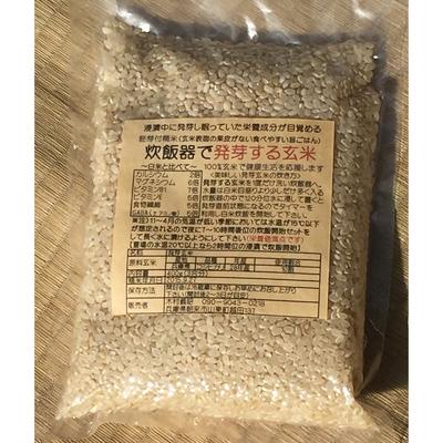 ふるさと納税 朝来市 【毎月定期便】木村義昭さんの炊飯器で発芽する玄米3合×6袋セット全6回