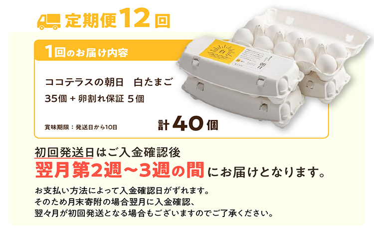 【12ヵ月定期便】ココテラスの朝日（白たまご）35個 + 5個保証（計40個）