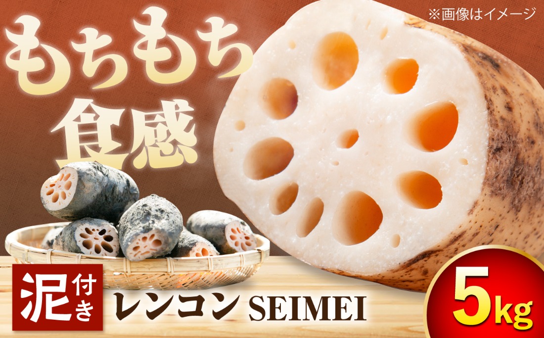 ＼毎年8月中旬より順次発送／  レンコンSEIMEI 5kg レンコン 蓮根 根菜 野菜/株式会社水谷グルッポ [AEBX002]