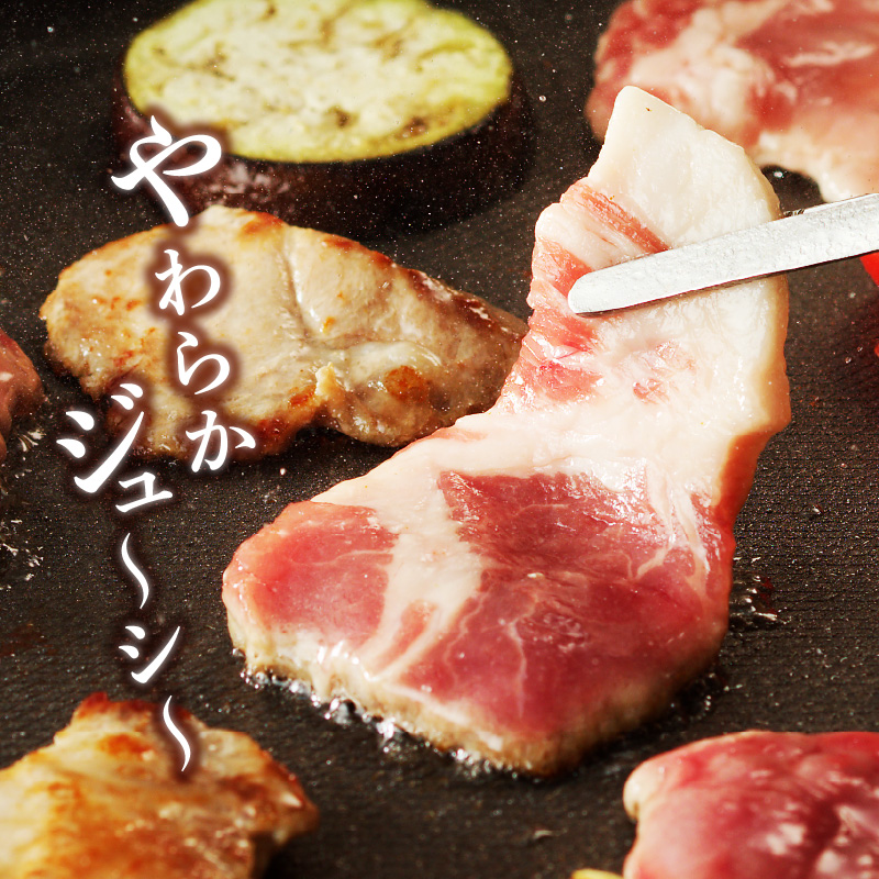 宮崎ブランドポーク 肩ロース 焼肉 500g　A0104