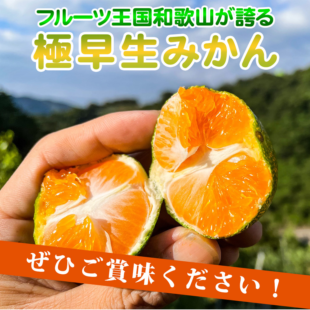 EA6041_和歌山県限定の極早生みかん 10kg (YN-26 大小混合)