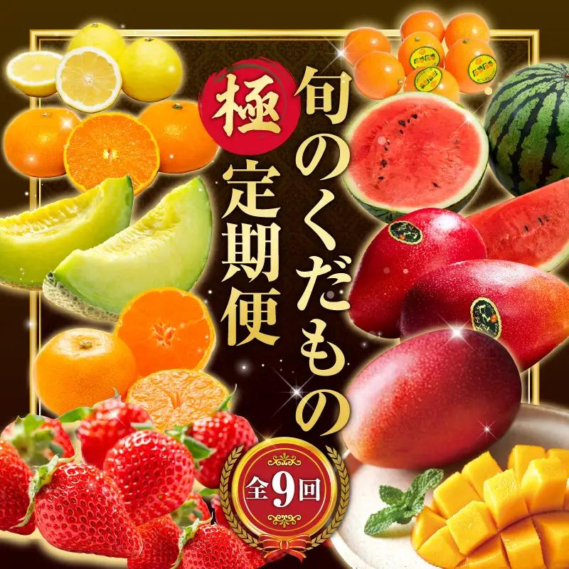フルーツ 定期便 フルーツ [旬のくだもの 【極】 果物 全9回]