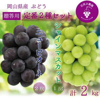 【ふるさと納税】岡山　花笑み農園『ニューピオーネ&シャインマスカット』贈答用　約2kg　PS-2　9月中旬～順次発送【配送不可地域：離島】【1650732】