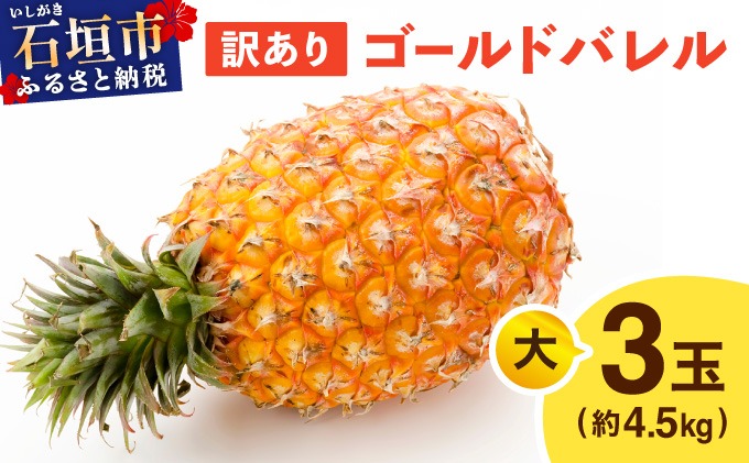 ≪5月上旬順次発送≫ 訳あり ゴールドバレル 大 3玉（約4.5kg） TP-20