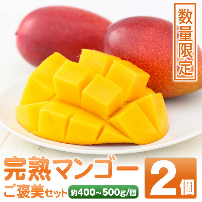 【ふるさと納税】＜先行予約受付中！2026年6月中旬以降順次発送＞肝付町産完熟マンゴーご褒美セット(約400~500g×2個) 太陽の恵みたっぷり 濃厚 フルーツ 果物 果実 完熟 マンゴー お中元 お歳暮 ギフト 贈答【SHOWAマンゴー農園】