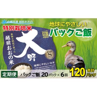 ふるさと納税 大野市 【6ヶ月定期便】地球にやさしいパックご飯 20食入り【白米】× 6回　計120食