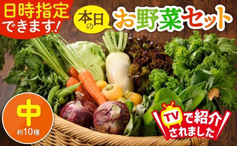 
            日時指定OK！本日のお野菜セット 〈中サイズ/約10種〉 2～3人用 新鮮 産地直送 野菜詰め合わせ 有機栽培 野菜 果物 野菜セット 野菜定期便 送料無料 【オーガニックのまち 宮崎県綾町】
          