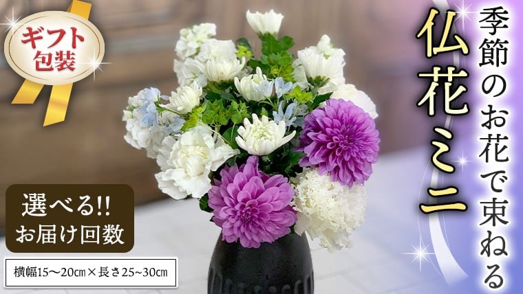 
            季節のお花で束ねる仏花ミニ 花 花束 仏花 生花 お供え 【 定期便 も選べる】 6回 12回 [CT023ci00]
          
