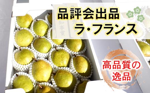 品評会出品 【特選】 ラ・フランス 約5kg (16個) 《令和6年11月16日一斉発送》 『JA山形おきたま』 南陽市農業祭 山形県 南陽市 [1075]