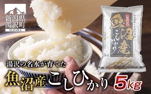 
            令和7年産 お米 5kg 精米 魚沼 米 こしひかり 送料無料 炊き方ガイド付き【湯沢産コシヒカリ】新潟県 湯沢町産 コシヒカリ 
          