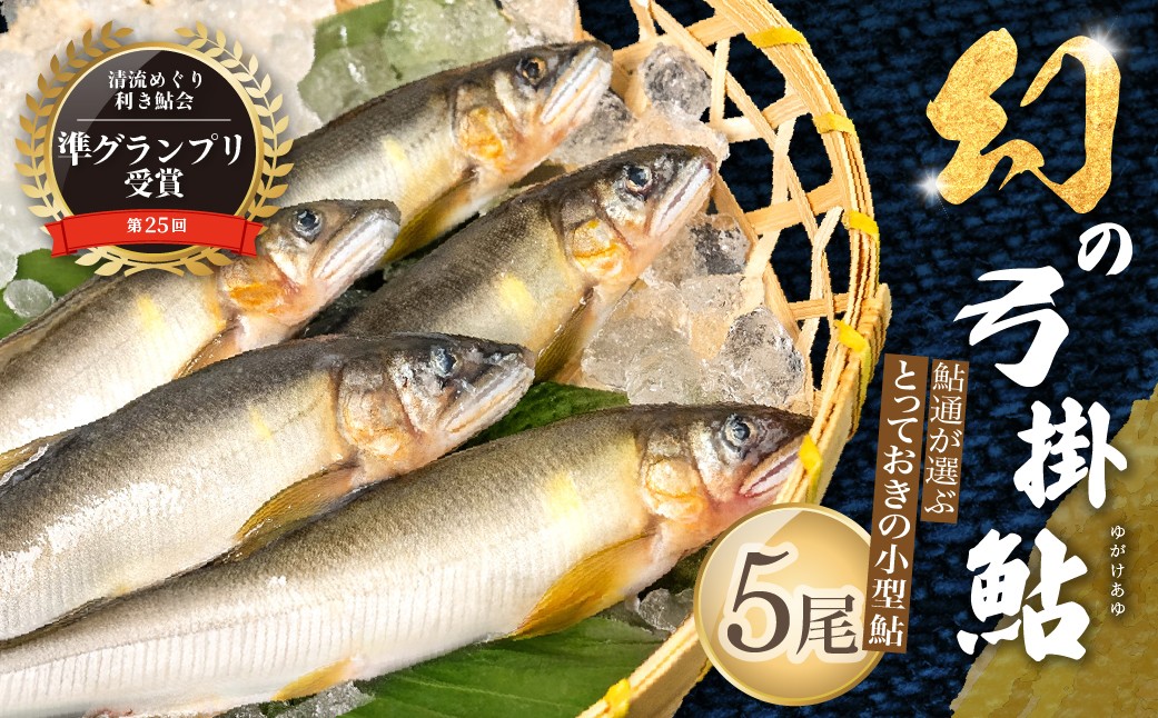 
                  【先行予約】（2026年7月上旬頃から発送）幻の弓掛鮎  5尾以上 鮎通が選ぶ小型の逸品!（1尾 約55g以下）計300g【冷凍パック】天然鮎  あゆ アユ ゆがけ 下呂市 金山
                
