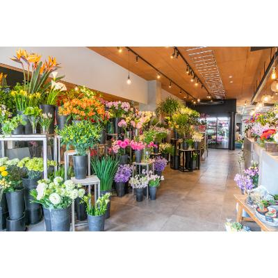 ふるさと納税 小田原市 赤バラ花束　21本 |  | 03