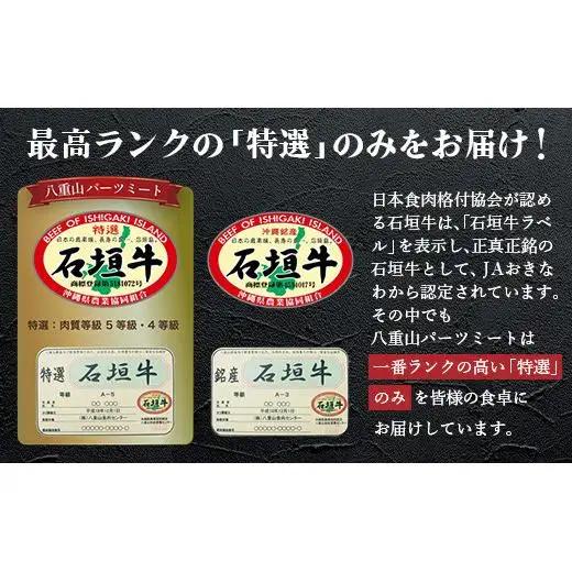 石垣牛100% ハンバーグ (100g×3個) ＆ 石垣牛 お任せ焼肉 (180g)